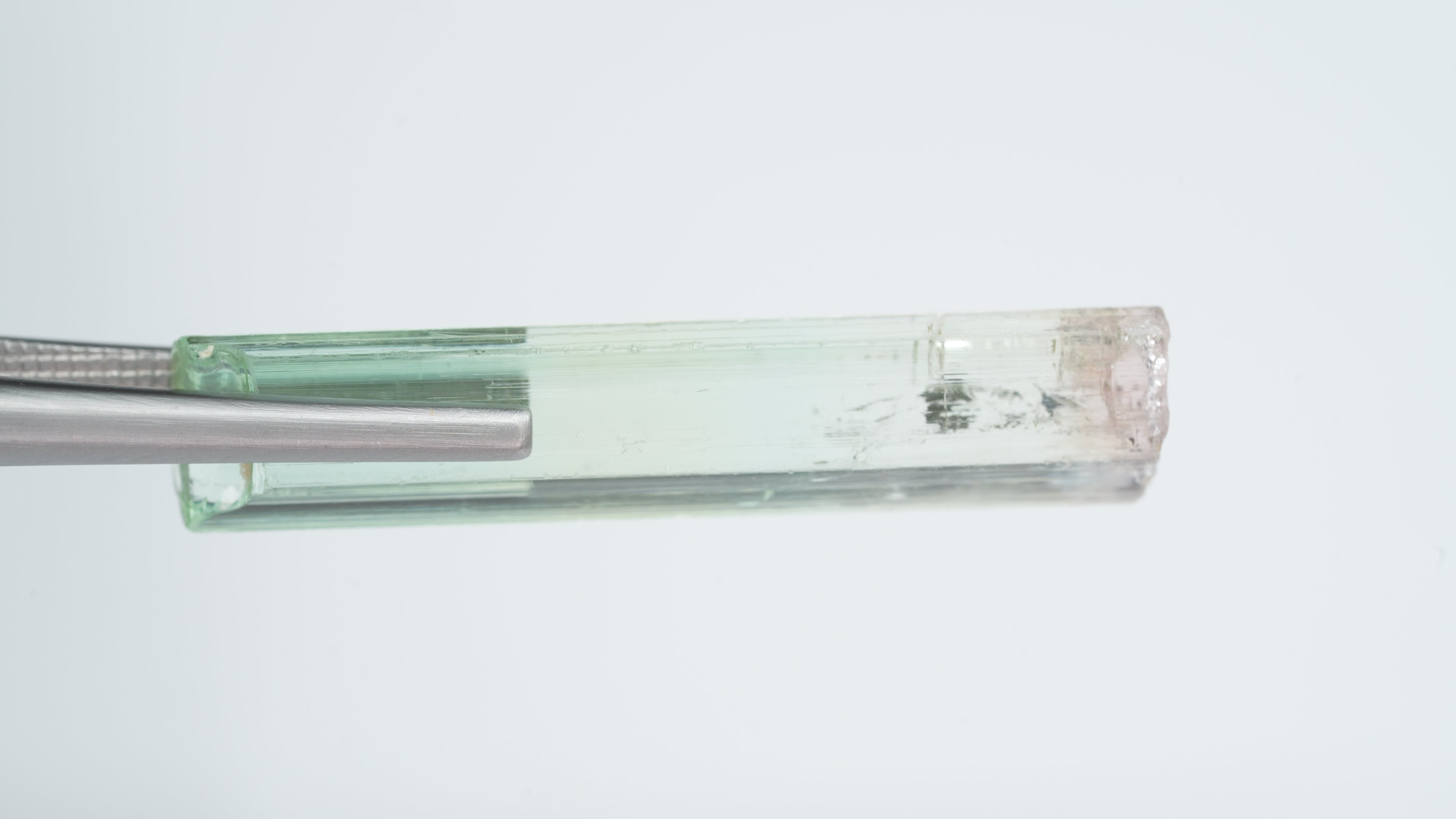 16.6ct Bi-color Tourmaline - Kivu, Congo