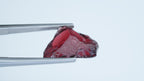 11.14ct Pyrope-Almandine Garnet - Niassa, Mozambique