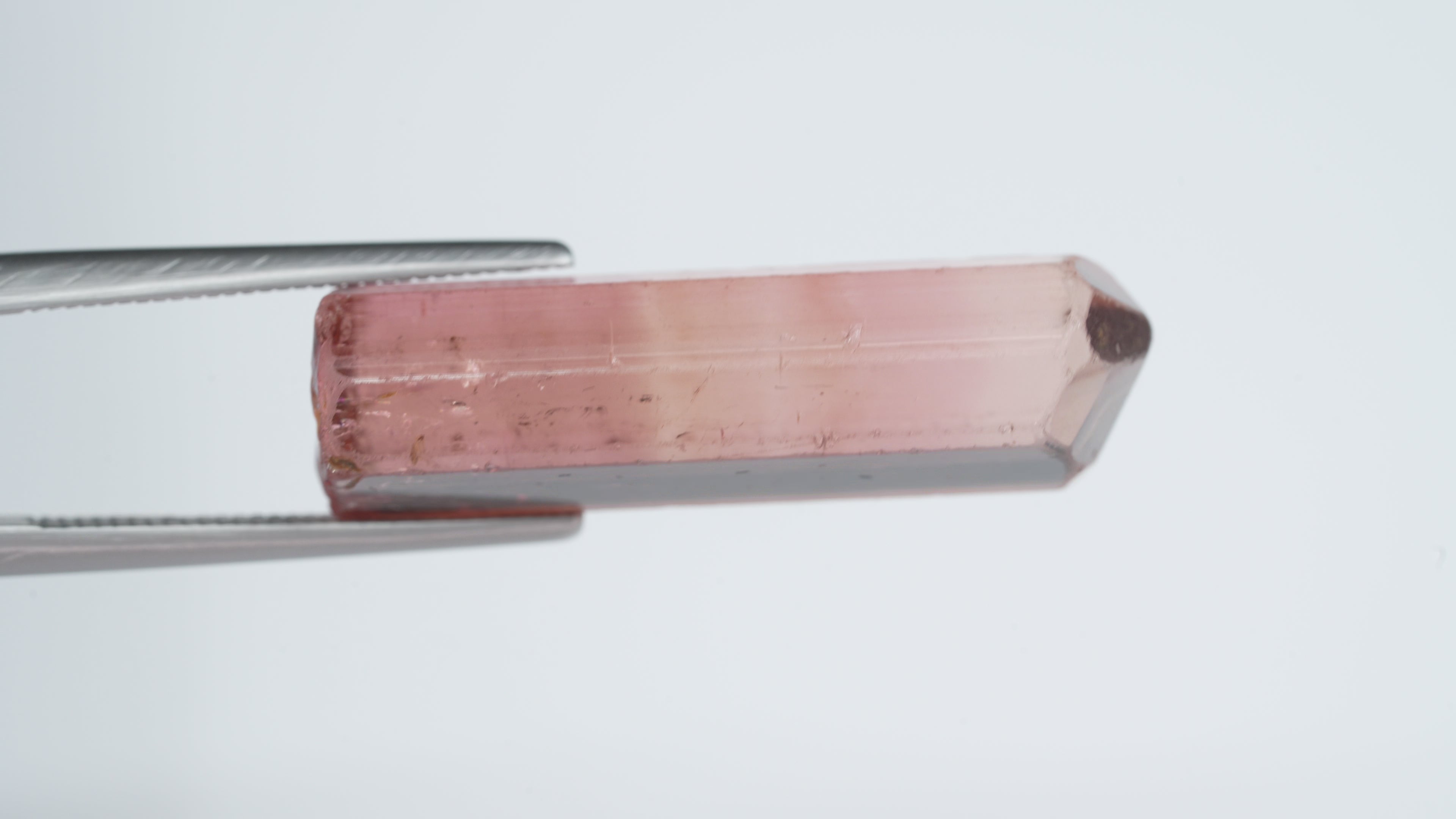 25.9ct Bi-color Tourmaline - Kivu, Congo