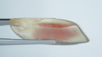 33.89ct Feldspar Sunstone - Oregon, USA